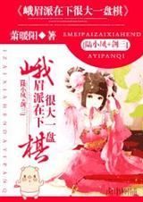 峨眉派在下很大一盘棋TXT全集封面
