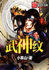 武神纹TXT全集封面