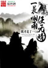 一蓑烟雨任无晴TXT全集封面