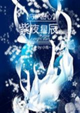 守护甜心之紫夜星辰TXT全集封面