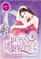 boss离婚请签字TXT全集封面
