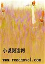 残羽的爱情TXT全集封面