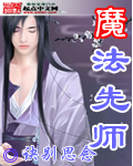 魔法先师TXT全集封面