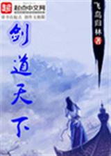 剑道天下TXT全集封面