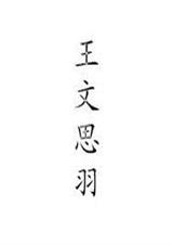 王文思羽TXT全集封面