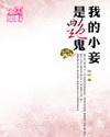 我的小妾是艳鬼TXT全集封面