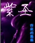 紫圣TXT全集封面