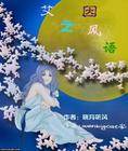 艾因之风语TXT全集封面