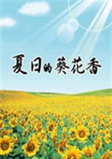 夏日的葵花香TXT全集封面