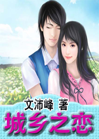 城乡之恋TXT全集封面