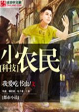 科技小农民TXT全集封面