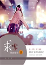 求雪TXT全集封面