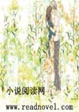 失忆公主的绝版爱恋TXT全集封面