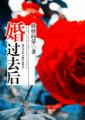 婚过去后TXT全集封面