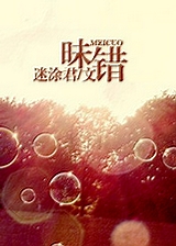 昧错TXT全集封面