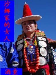沙娜家的女人TXT全集封面