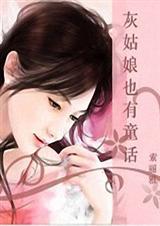 灰姑娘也有童话TXT全集封面