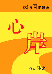 灵与肉的慰藉:心岸TXT全集封面