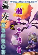 喜灰之懒羊羊传奇TXT全集封面