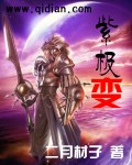 紫极变TXT全集封面