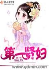 第一贤妇TXT全集封面