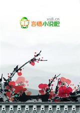 妃常穿越:带着王爷回现代TXT全集封面