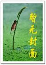 鷨ʦݺᶼTXTȫ