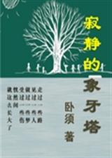 寂静的象牙塔TXT全集封面