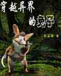 穿越异界的兔子TXT全集封面