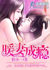 暖妻成瘾TXT全集封面