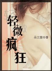 轻微疯狂TXT全集封面