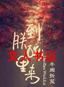 到朕碗里来TXT全集封面