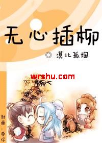 无心插柳TXT全集封面