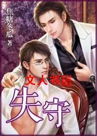 失守TXT全集封面