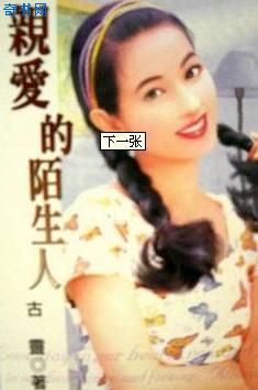 亲爱的陌生人TXT全集封面