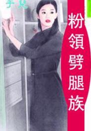 粉领劈腿族TXT全集封面