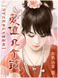 爱值几个钱TXT全集封面