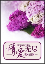 情爱无尽TXT全集封面