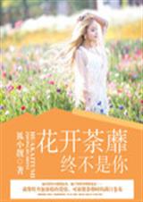 花开荼蘼终不是你TXT全集封面