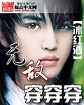 无敌穿穿穿TXT全集封面