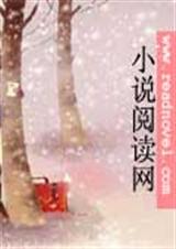 总裁停我是大灰狼TXT全集封面