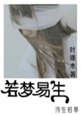 若梦易生TXT全集封面