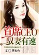 首席CEO,驭妻有速TXT全集封面