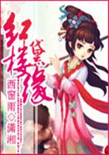 红楼黛缘TXT全集封面