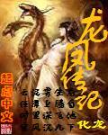 龙凤传记TXT全集封面