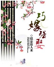 公子强娶(完结+番外)TXT全集封面