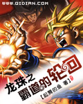 龙珠之霸道的轮回TXT全集封面