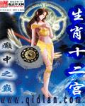 生肖十二宫TXT全集封面