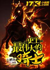 史上最伟大的骑士TXT全集封面