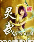 灵武TXT全集封面